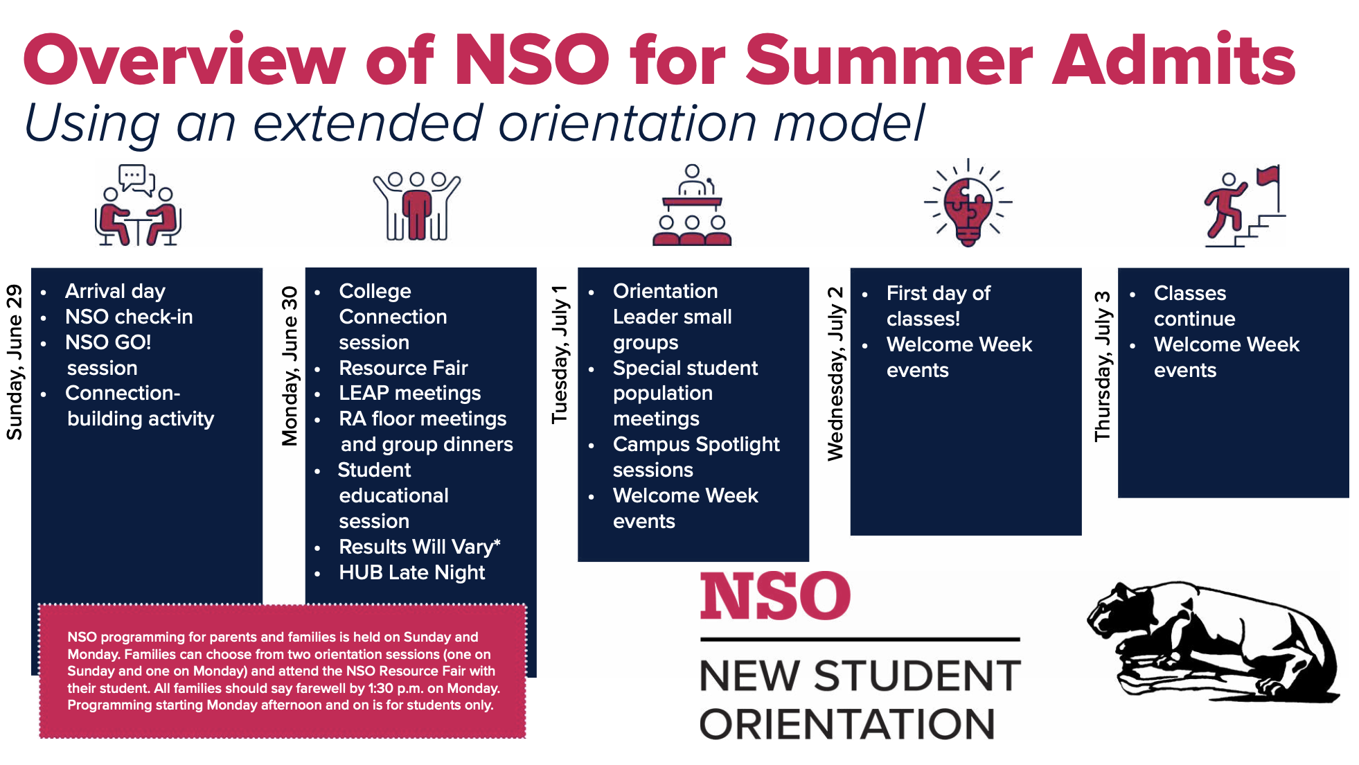 Details of NSO for summer admits